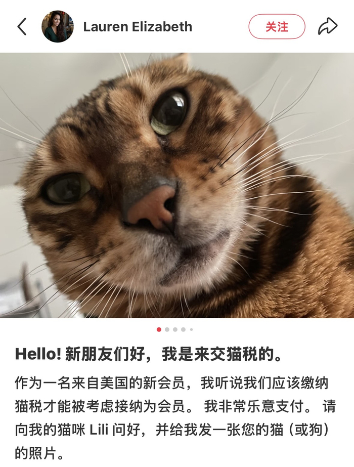 中外网友的最初交流回合从“交猫税”开始（图源：小红书）