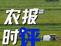 2026，“三农”怎么干？中央农村工作会议明确了→