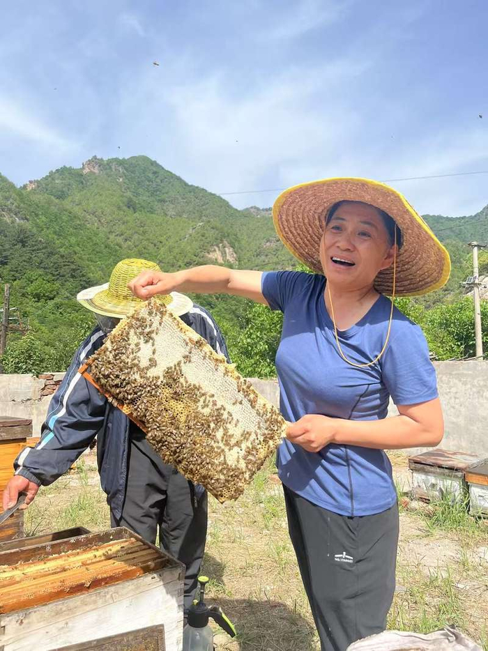 2024年7月，尹春燕带领村里人摇蜂蜜的现场。受访者供图