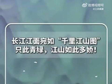 安徽池州长江现候鸟群舞如千里江山图