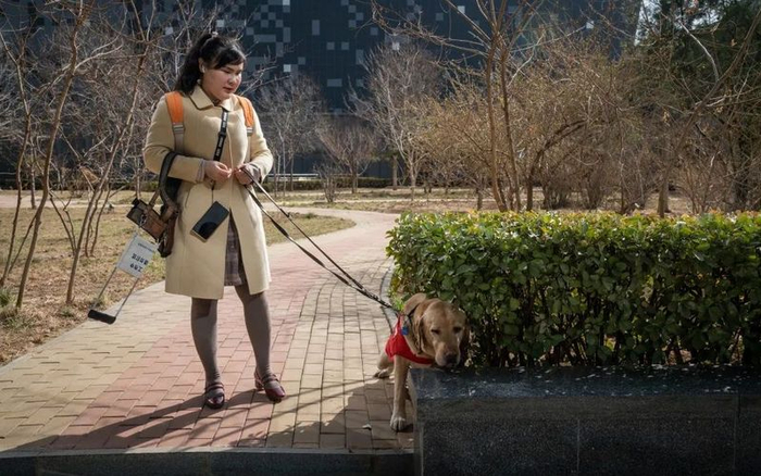 周彤和导盲犬出行。首都文明办供图
