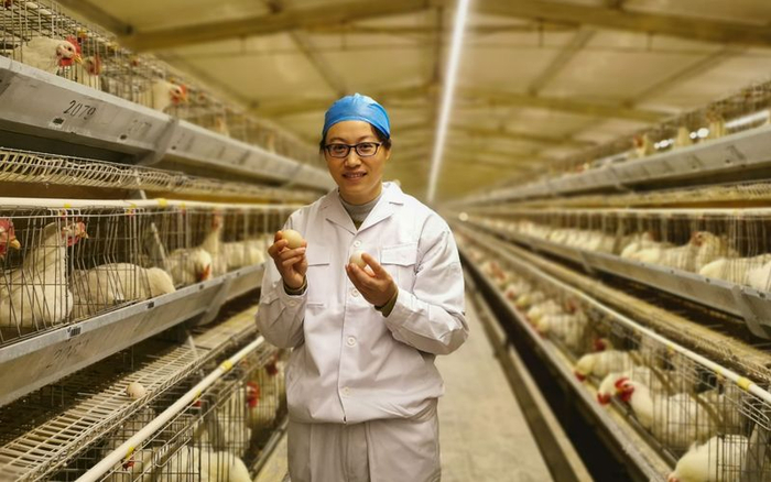 吴桂琴在鸡舍查看鸡群情况。首都文明办供图