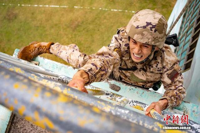 图为武警玉林支队官兵进行阳台攀登训练。赖成龙 摄 