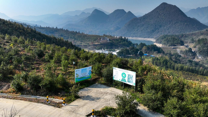 广东山茶油盒马村