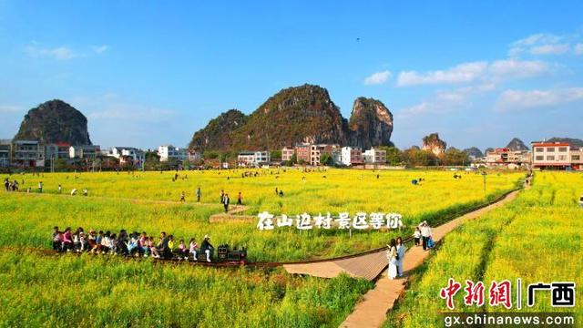 每年春天，山边景区油菜花盛开，吸引大批游客前来观光游玩，成为远近闻名的网红打卡点。刘志宁 摄
