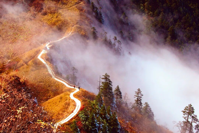 ▲西岭雪山“阴阳界”奇观。供图/大邑县委宣传部