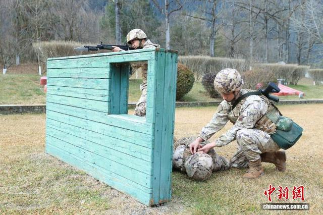 图为官兵开展战场救护训练。倪伟栋 摄 