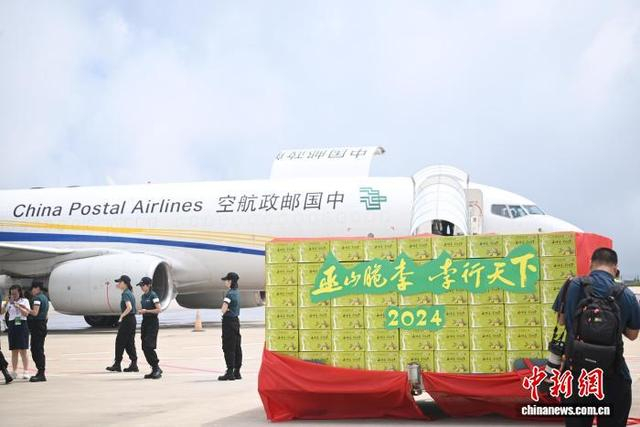 2024年7月2日，巫山脆李被装上货机，“脆李航班”正式启动起飞。张旭 摄