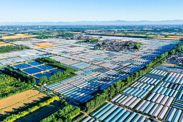 顺义农业图景。顺义区农业农村局供图。
