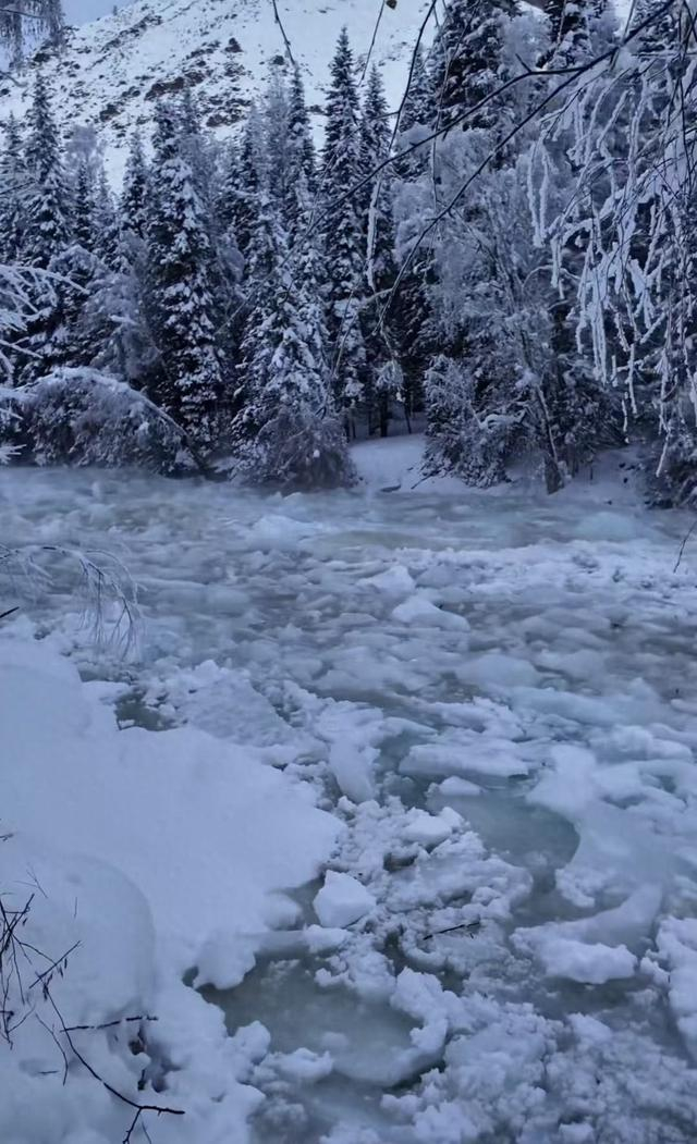 △网友视频画面截图