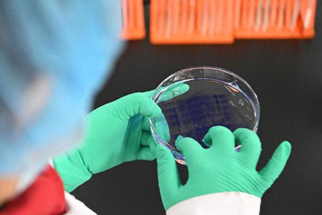 2025年2月20日，一家药企实验人员在检验生物制品蛋白分子量。新华社记者 孙凡越 摄