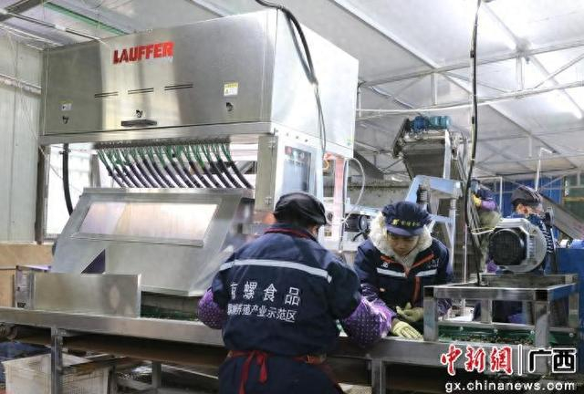 图为AI智能选螺设备。兰德波 摄