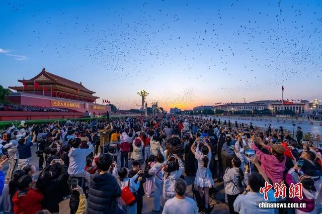 2025年10月1日，上万羽和平鸽在天安门上空翱翔。中新社记者 张炜 摄