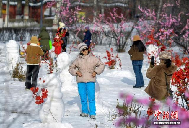 1月8日，新疆乌鲁木齐市人民公园，市民在公园里游玩。中新社记者 刘新 摄 