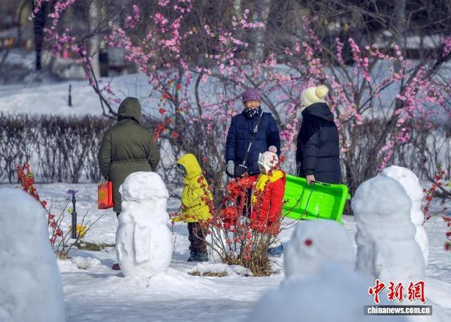 1月8日，新疆乌鲁木齐市人民公园，市民带着孩子在公园里游玩。中新社记者 刘新 摄 