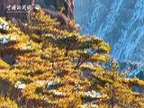 黄山云雾绘雪山千里江山图，王一博歌声伴赏冬日奇景