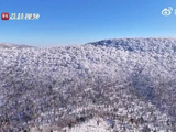 哈尔滨雾凇成景冰晶漫舞，刘宇宁献声共赏冰雪盛宴