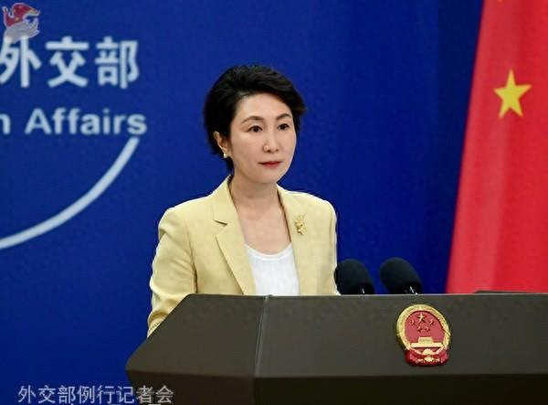 毛宁资料图。图源：外交部网站