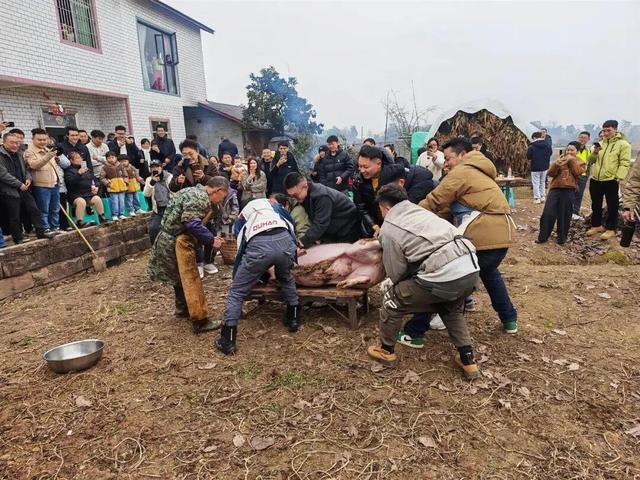 呆呆家杀猪现场（受访者供图）