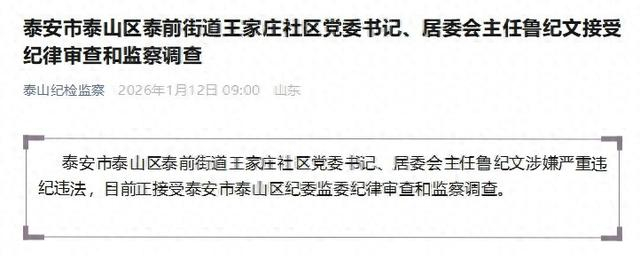 来源：泰山纪检监察