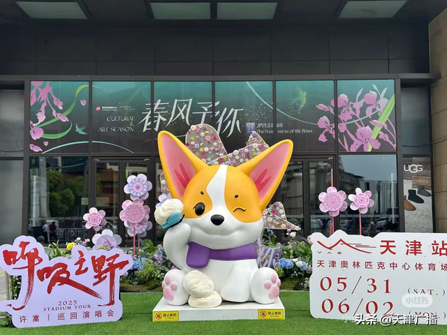 ▲天津包子元素结合到明星粉丝活动