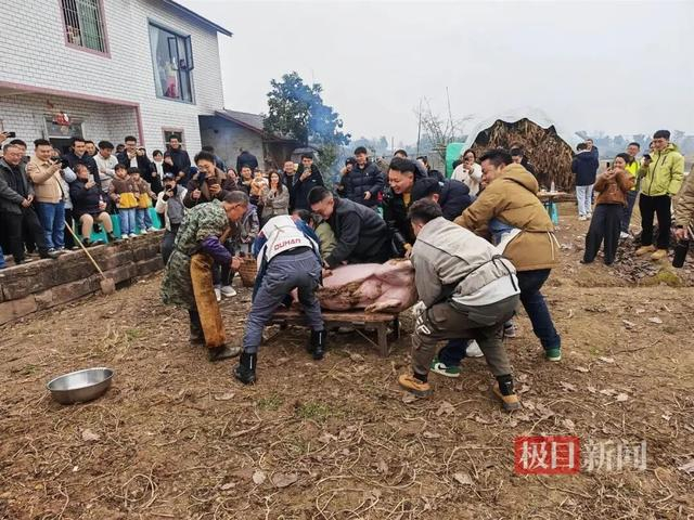 1月11日上午呆呆家的杀猪画面（受访者供图）