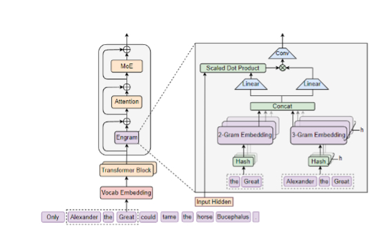 Engram架构示意图 来源：DeepSeek论文截图