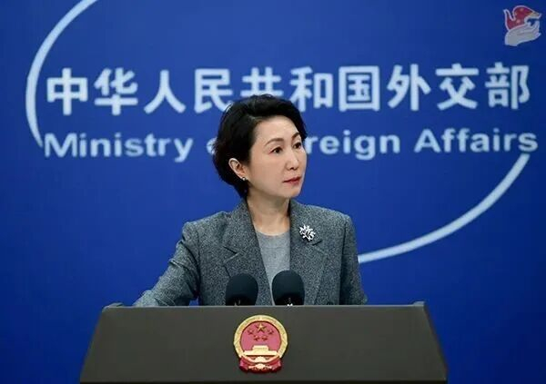 毛宁 资料图 图源：外交部网站