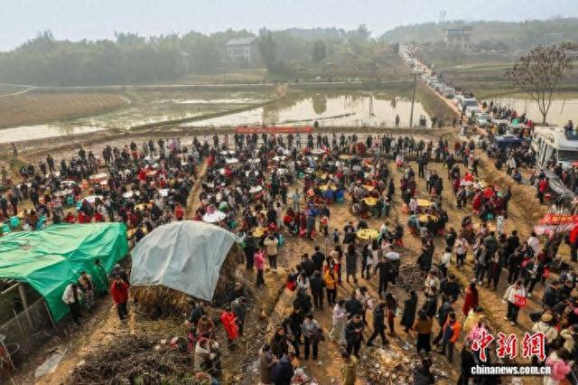 图为重庆网友“呆呆”家门前的“刨猪宴”吸引网民。谌永恒 摄
