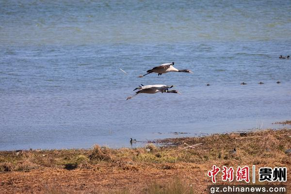 管庆巍 摄