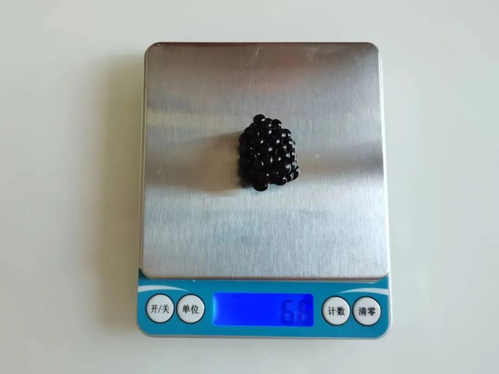 1颗黑莓约6克丨薛庆鑫摄