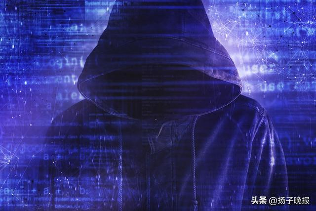 网络图片（CFP供图）