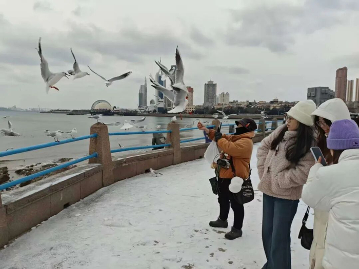 图/半岛全媒体记者 黄杰显