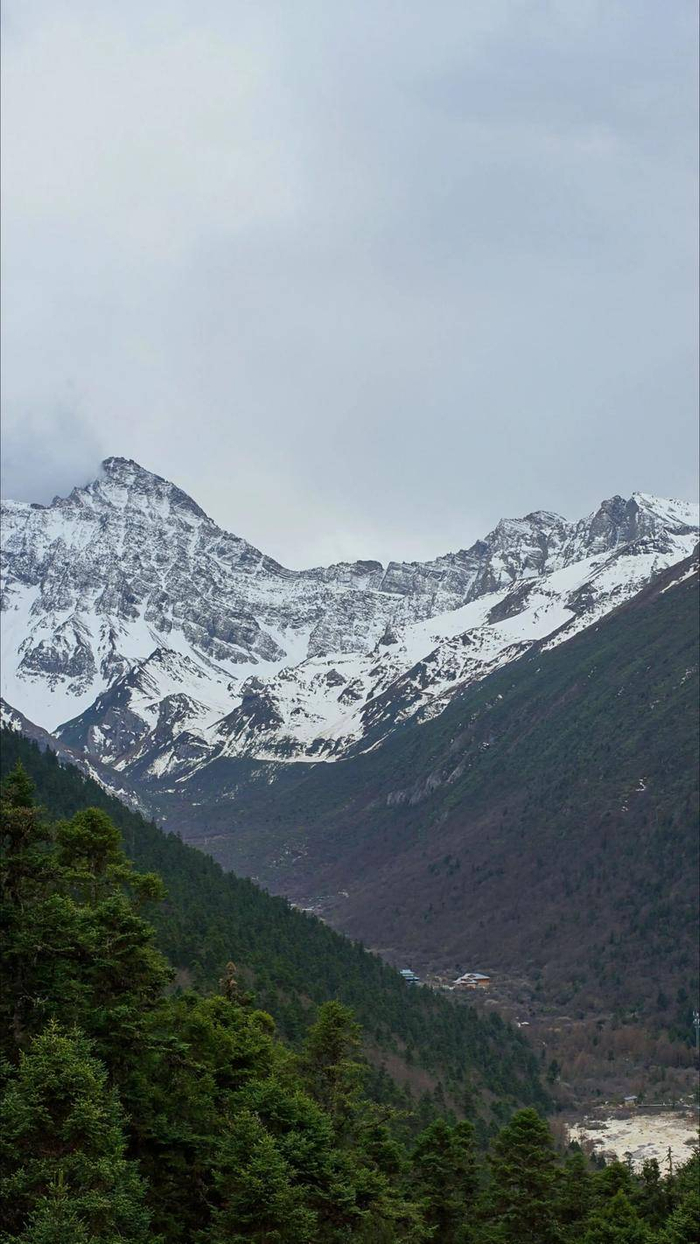 《生命树》能否大爆尚且未知，但能让我们认不出杨紫和胡歌，这已经是不多见的好兆头。