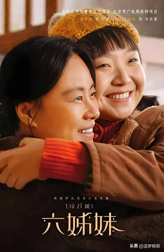 尽管《六姊妹》在剧情节奏和人物塑造上有瑕疵，但其独特的叙事视角和深刻的情感表达依然呈现了一部充满温情与力量的家庭史诗。剧集对女性力量、家庭羁绊及时代变迁的探讨，具有重要的现实意义。在这个快节奏的社会里，《六姊妹》提醒我们珍视亲情，思考家庭与个人成长的关系，这或许是它最大的价值所在。