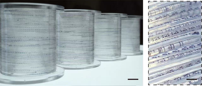 成卷“纤维芯片”和局部细节。受访团队供图