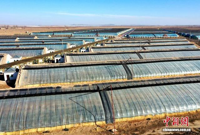 图为民勤县设施农业温室基地。马爱彬 摄