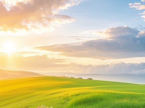 时光里的温柔回响