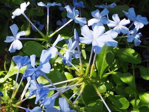 从年初就兴旺不已，做啥都格外顺利，钱包开始发胖的四个星座