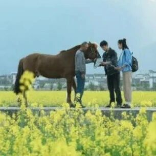 2026年不可不读的八句话，读一遍醒脑，读两遍通透