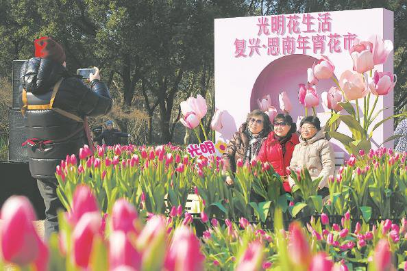             市民在复兴公园郁金香花田打卡体验          
