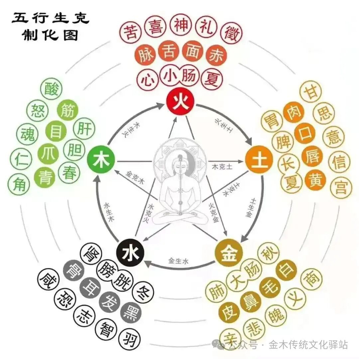 《黄帝内经》与五运六气|太阳|天干|少阴|阴风|表里_新浪新闻