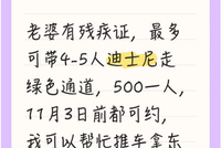 上海迪士尼现“免排队”？“残障爱心通道”成黄牛“提款机”，有团伙4个月非法牟利10万余元