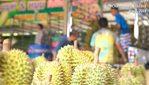 为争取中国榴莲市场，越南“又争又抢”，剑指泰国