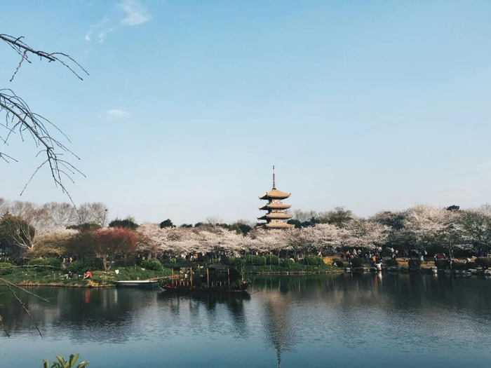 武汉城市风光。（图/unsplash）