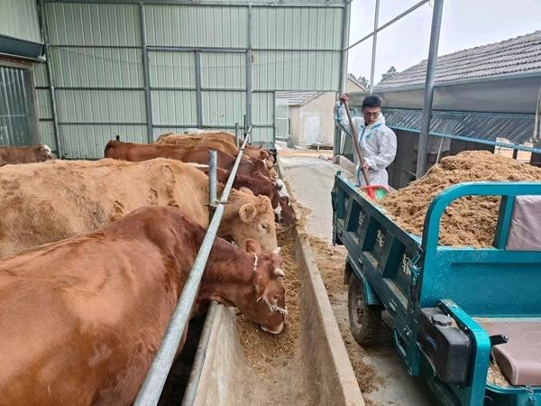 要让“放牛”成为有奔头的事业！