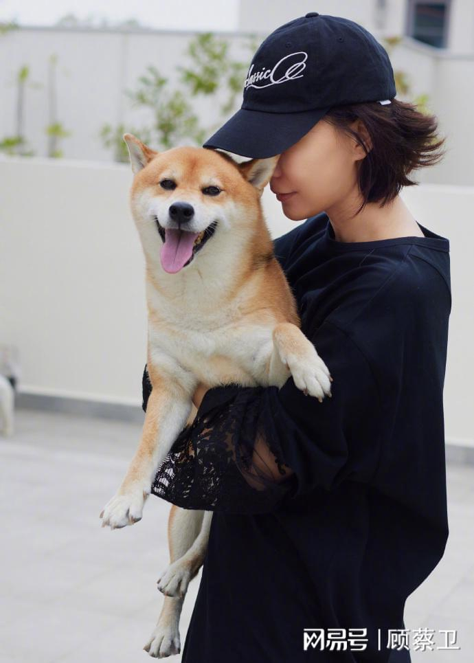  打开网易新闻 查看精彩图片 