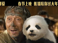 成龙新片《熊猫计划之部落奇遇记》定档春节
