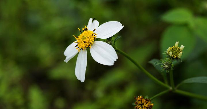 让一个人的命越来越好的捷径：断亲