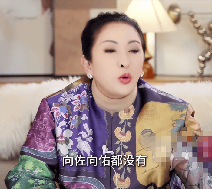 张柏芝自曝已立遗嘱防儿子争产,向太也自曝已立好遗嘱|陈岚（向太）|向佑|向佐|郭碧婷|孙辈_新浪娱乐_新浪新闻
